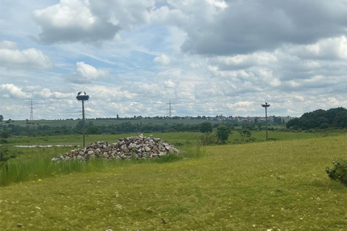 Storchennester mit Steinhaufen für die Steinschmätzer